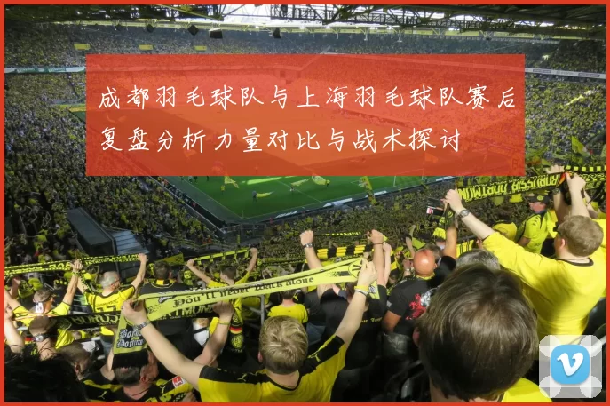 成都羽毛球队与上海羽毛球队赛后复盘分析力量对比与战术探讨