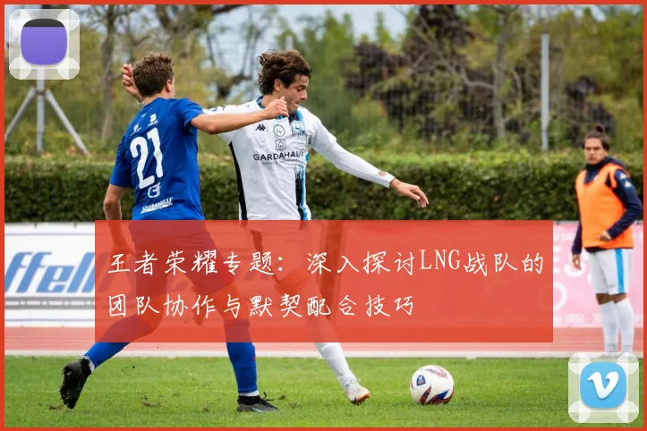 王者荣耀专题：深入探讨LNG战队的团队协作与默契配合技巧