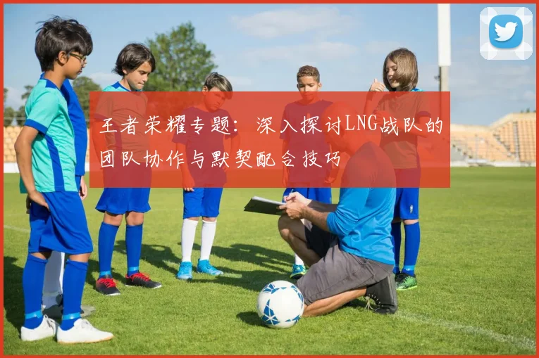 王者荣耀专题：深入探讨LNG战队的团队协作与默契配合技巧