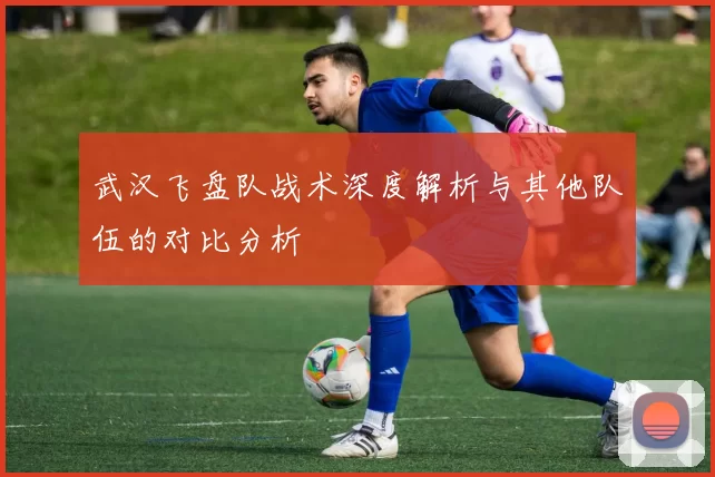 武汉飞盘队战术深度解析与其他队伍的对比分析