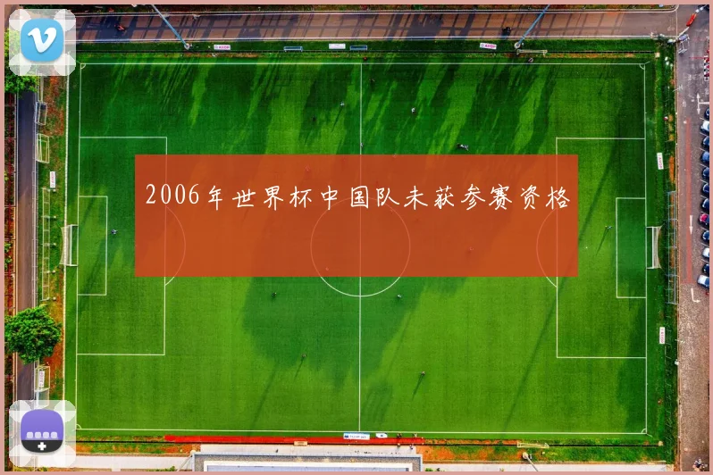 2006年世界杯中国队未获参赛资格