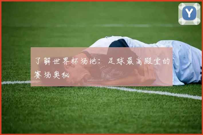 了解世界杯场地:足球最高殿堂的赛场奥秘