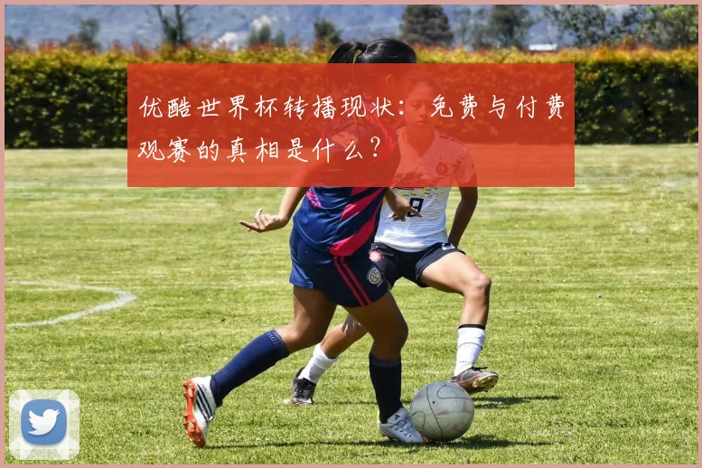 优酷世界杯转播现状:免费与付费观赛的真相是什么?