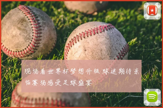 现场看世界杯梦想升级 球迷期待亲临赛场感受足球盛宴