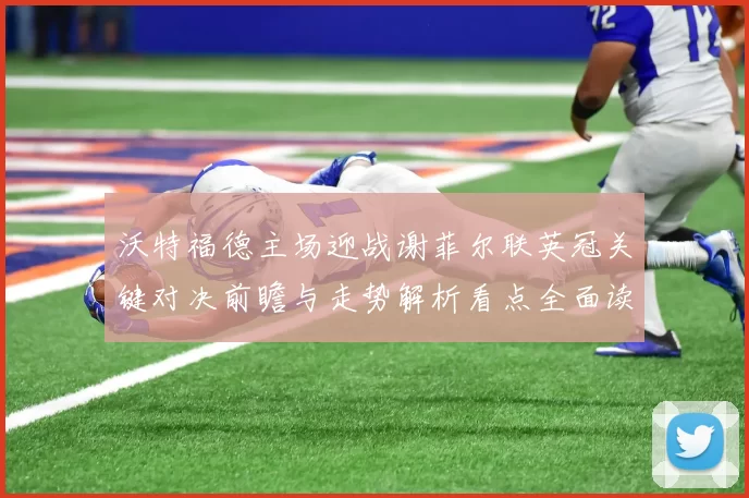 沃特福德主场迎战谢菲尔联英冠关键对决前瞻与走势解析看点全面读