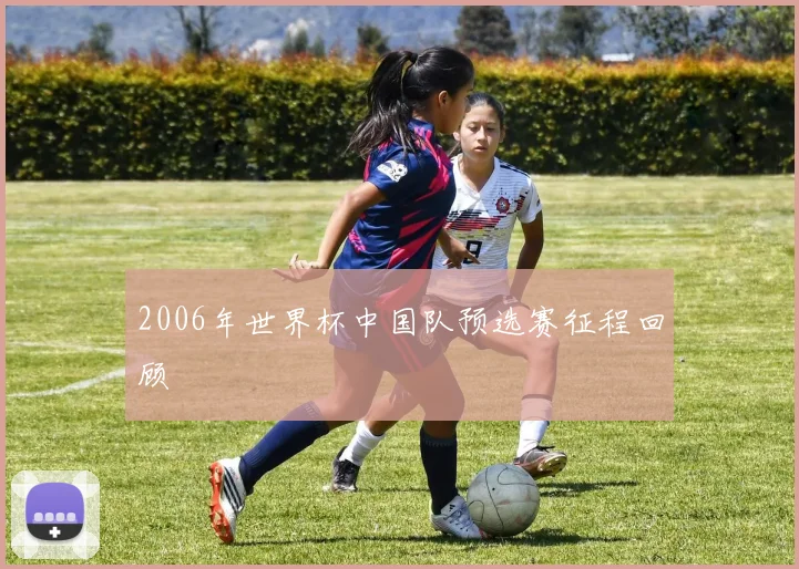 2006年世界杯中国队预选赛征程回顾