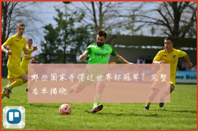 哪些国家夺得过世界杯冠军?完整名单揭晓