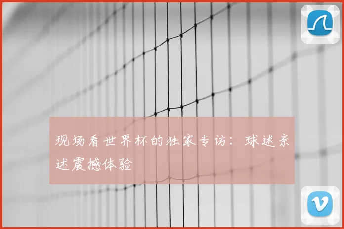 现场看世界杯的独家专访：球迷亲述震撼体验