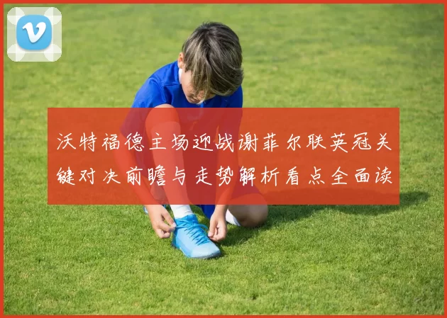 沃特福德主场迎战谢菲尔联英冠关键对决前瞻与走势解析看点全面读