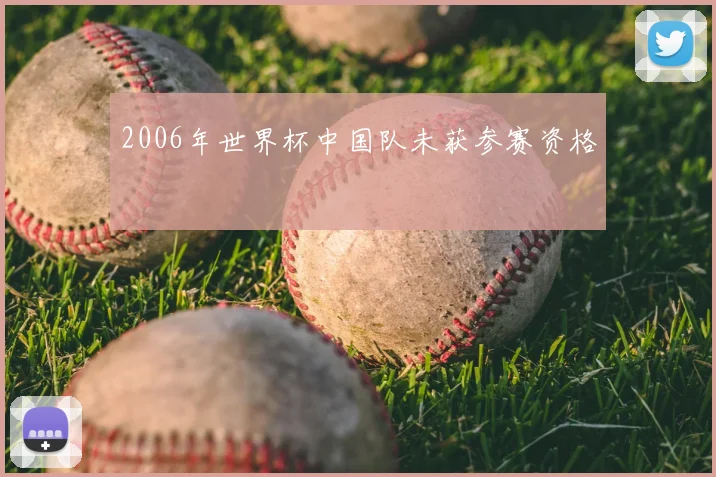 2006年世界杯中国队未获参赛资格