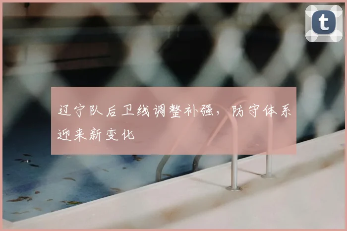辽宁队后卫线调整补强,防守体系迎来新变化