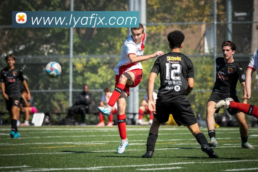 华体会手机网页版平台生态图