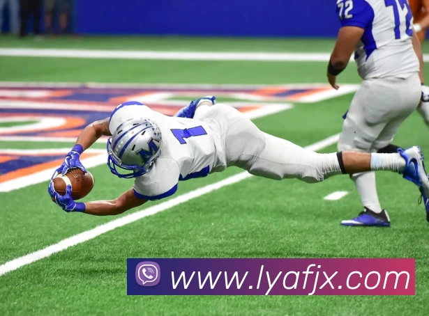 华体会手机网页版APP 封面图